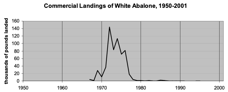 A graph displaying the commercial landings of white abalone, 1950-2001. The y axis has thousands of pounds landed and the x axis is years. A massive peak in take occurred in the 70s with take plummeting to nearly zero afterwards.